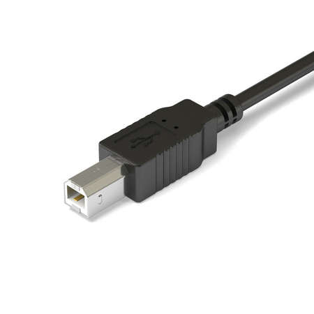 USB B-Type Connector - Male