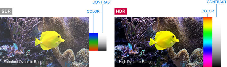 SDR-vs-HDR-1.jpg