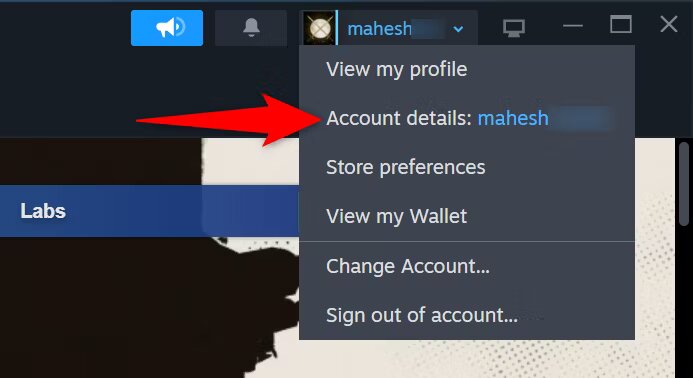 2-steam-desktop-account-details.jpg