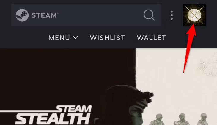 4-steam-mobile-profile.jpg