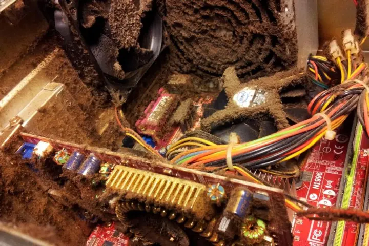 dusty.webp
