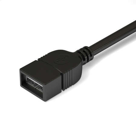 USB A-Type Connector - Female